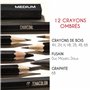 Kit de Dessin Complet - Debutant ou Professionnel - 19 accessoires : 8 Crayon Papier, 3 Crayons Charbon, 1 Graphite, 3 Bâtons Ch