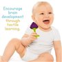La Cabane des petits curieux - Anneau dentition bebe réfrigérant, Jouet dent pour bebe - Soulagement Gencives, Anneau Apaisant, 