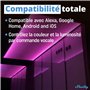 Shelly RGBW2 | Module Relais Wi-Fi pour Bandes LED RGBW | Variateur de Lumière | Domotique | Compatible Alexa & Google Home | Ap