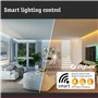 Paulmann 29154 Standard 230 V Smart Home Zigbee LED sphérique E14 3x470lm 3x5W RGBW+ gradable Dépoli Kit