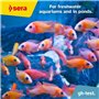 Sera GH Test de Qualité d'eau pour Aquariophilie