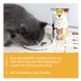 GimCat Crunchy Snacks Poulet avec Fromage - Friandise pour Chat croustillante et Riche en protéines - 1 Sachet (1 x 50 g)