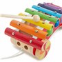 Bieco Xylophone Bebe 1 An | Xylophone Enfant | Trotteur en Bois | Jouet a Tirer | Apprendre a Marcher pour Bebe Chariot de March