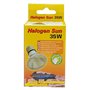 Lucky Reptile Lot de 2 spots halogènes Sun - 35 W - Pour douilles E27 - Projecteur halogène pour reptiles - Lampe de terrarium a