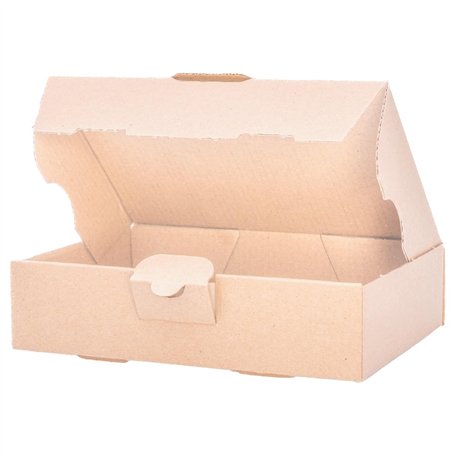 verpacking 100 cartons d'expédition extra-plats 18 x 13 x 4