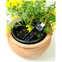 3V Capteur d'humidité pour la Terre INCL. Câble de Connexion