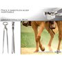 Pince coupe-sabots en acier inoxydable 38 cm avec étui et ouverture extra large
