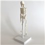 Cranstein A-134 Mini squelette 20 cm