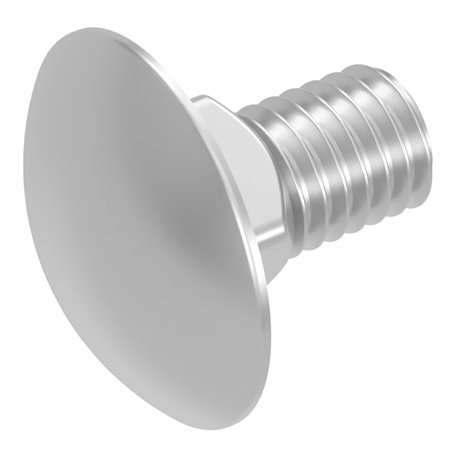 SECCARO Lot de 20 boulons de carrosserie M12 x 25 mm en acier inoxydable V2A VA A2