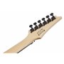 Ibanez Gio Electric Guitar GRGR330EXBKF