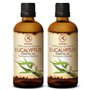 Huile Essentielle Eucalyptus 200ml (2x100ml) - Eucalyptus Globulus - Huile Essentielle Naturelle & Pur pour Aromathérapie - Saun