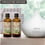 Huile Essentielle Eucalyptus 200ml (2x100ml) - Eucalyptus Globulus - Huile Essentielle Naturelle & Pur pour Aromathérapie - Saun