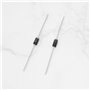 OTOTEC Lot de 50 Diodes de Redressement SB2100 2 A 100 V DO-15 Adaptées Aux Applications de Protection de Polarité en Roue Libre