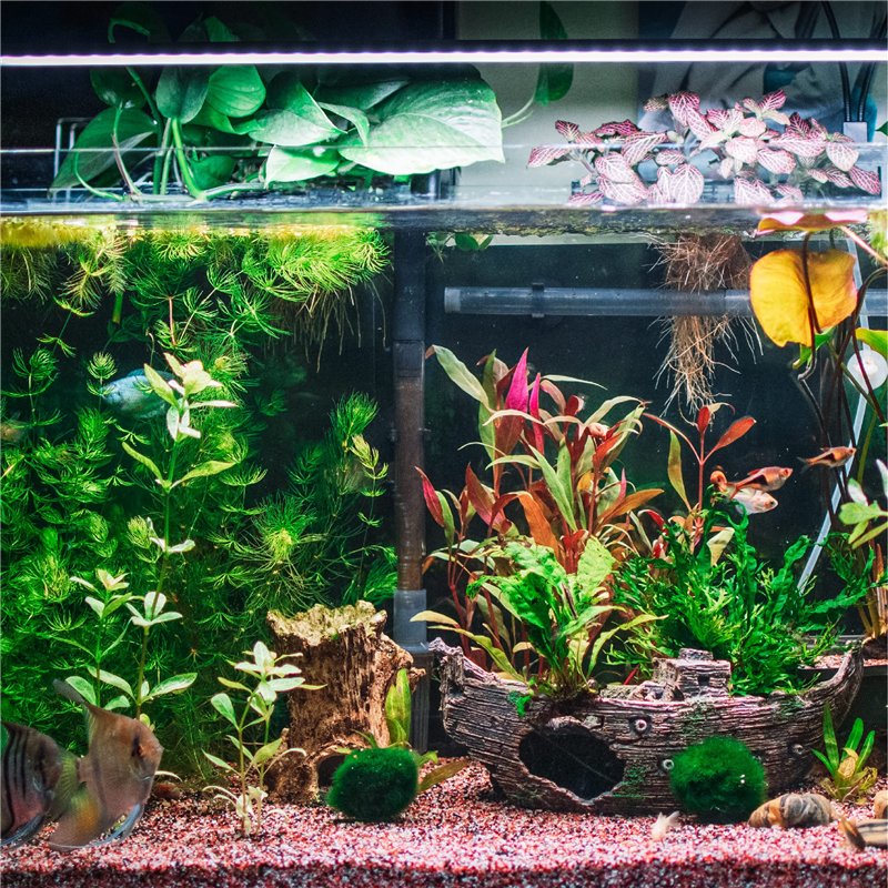 EMSea Lot de 4 Goujons de Fixation pour Capot Moteur de Voiture 91501-SS8-A01 91501-P8AA01 Compatible avec Honda Odyssey