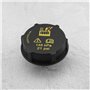 ECSiNG Bouchon de réservoir d'eau pour radiateur DG938101AA 1301104 1224233 3M5H-8100-AD LF5015205A 30680002 Compatible avec For