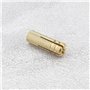 SG Store Lot de 20 chevilles M6 en laiton pour ancrage mural - Manchon de fixation en laiton pour ancrage dans des briques solid