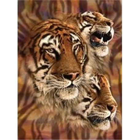 3D LiveLife Affiche murales lenticulaires Rayures du Tigre de Deluxebase. Poster de lapin 3D sans cadre. Décoration murale parfa