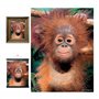 3D LiveLife Affiche Murales Lenticulaires Bébé Orang-Outan de Deluxebase. Poster Singe 3D sans Cadre. Décoration Murale Parfaite