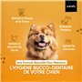 Kit Dentaire Dentifrice Chien 2 x 100g - Dentifrice Haleine Fraîche