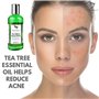 Tea Tree Eucalyptus Gel Douche pour Homme - Soin du Corps aux Huiles Essentielles Naturel Made In U.K Soin de la peau Arbre a Th