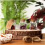 BELLE VOUS Fiole en Verre - Lot 15 Mini Bouteille Verre 50ml avec Bouchon Liege Étiquettes et Ficelle - Petite Bouteille en Verr