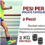 Poids pour poignet et cheville Wrist/Ankle Weights (2 x 2 kg) avec sangle réglable, idéal pour l'entraînement en gymnastique aér
