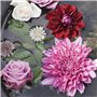 200 Pièces/Sac Graines De Bonsaï Décoratif Attirer Les Oiseaux à Croissance Rapide Couleur Mixte Dahlia Graines De Fleurs Pour L