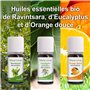 Coffret 8 x 10 ml Huiles Essentielles BIO distillées en FRANCE + Guide d'Aromathérapie PDF | HEBBD, HECT | Kit pour Cuisine, Dif