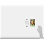 Germisem graines Carotte RAINBOW F1 MIX