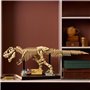LEGO Jurassic World 76968 Les Fossiles de Dinosaures : le Tyrannosaurus Rex - Pour Adulte