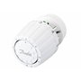 Danfoss 013G5217 Pack tête thermostatique Technologie gaz pour la rénovation RA2990 + Corps RA-FN 1/2" équerre + coude RLV-S 15,