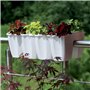 Prosperplast Jardinière de Balustrade de Balcon Blanc Longueur 590 mm