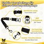 Hundefreund Amortisseur de Choc pour Chien | L'extension de 30cm pour Toutes Les laisses de Chiens avec Sangle élastique