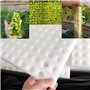 Éponge hydroponique, Éponges de Serre, 100 pièces éponge hydroponique plantation outil de jardinage éponges de semis carrées pou