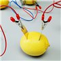 EsportsMJJ Fruit Batterie Lumière Diode Science Kit Orange Pomme De Terre Citron Batterie Physique Enseignement Expérience