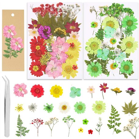 Lot de 65 véritables fleurs séchées pressées avec plusieurs pétales de fleurs séchées avec 5 marque-pages et pince à épiler pour