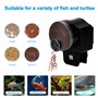Podazz Distributeur automatique de nourriture pour poissons – Mangeoire de vacances pour aquarium avec minuterie pour voyages de