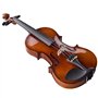Aileen Violon 4/4 Adulte, Violin Débutant avec Aspect Antique Brillant