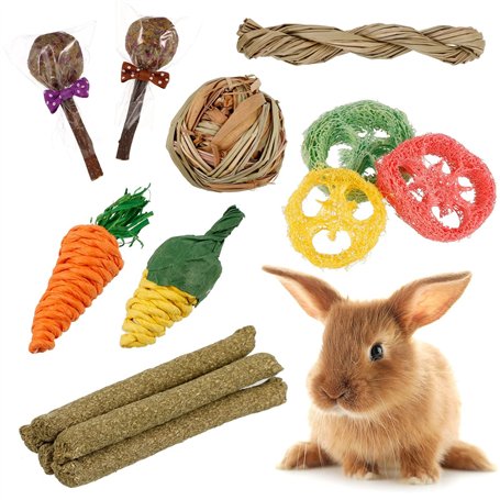 Xinzistar 17 Pcs Jouet pour Lapin