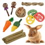 Xinzistar 17 Pcs Jouet pour Lapin