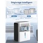 CONOPUPlus Deshumidificateur d air 3000ML, Déshumidificateur pour Maison 20㎡, Mode Sommeil 30 dB, Minuterie 6-24H, Dégivrage Aut