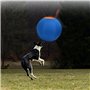 Zeiwohndc Balle gonflable interactive pour chiens - Jouet d'extérieur - Balle de troupeau molaire - Jouet d'entraînement physiqu