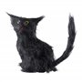 Widmann - Accessoire pour Chat Noir pour Animaux