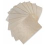 Wood Lab - 6 mm 10 x A3 Panneaux en Bois contreplaqué Bouleau | 6 mm (± 0