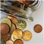 Blister pour pièces Boîte à monnaie 1€ - 2€ - 50cent - Classeur argent, euro, compte argent (20 pièces par coupe) - Kit 60 pièce