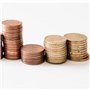 Blister pour pièces Boîte à monnaie 1€ - 2€ - 50cent - Classeur argent, euro, compte argent (20 pièces par coupe) - Kit 60 pièce