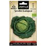 Graines Bio de Batlle - Chou de Milan Virtudes 3 (2g)