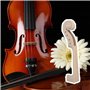 Yibuy Manche de violon sculpté à la main en érable pour violon 4/4