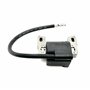 Hippotech Bobine d'allumage 590455 pour Briggs & Stratton 590455,793354,799382