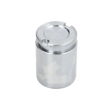Autofren Seinsa D02519 Piston